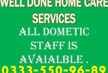 Well Done Home Care Services