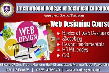 Professional Web Designing  Course in Battagram