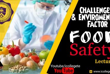 International Diploma in Food Safety level 1 Course in Upper Dir